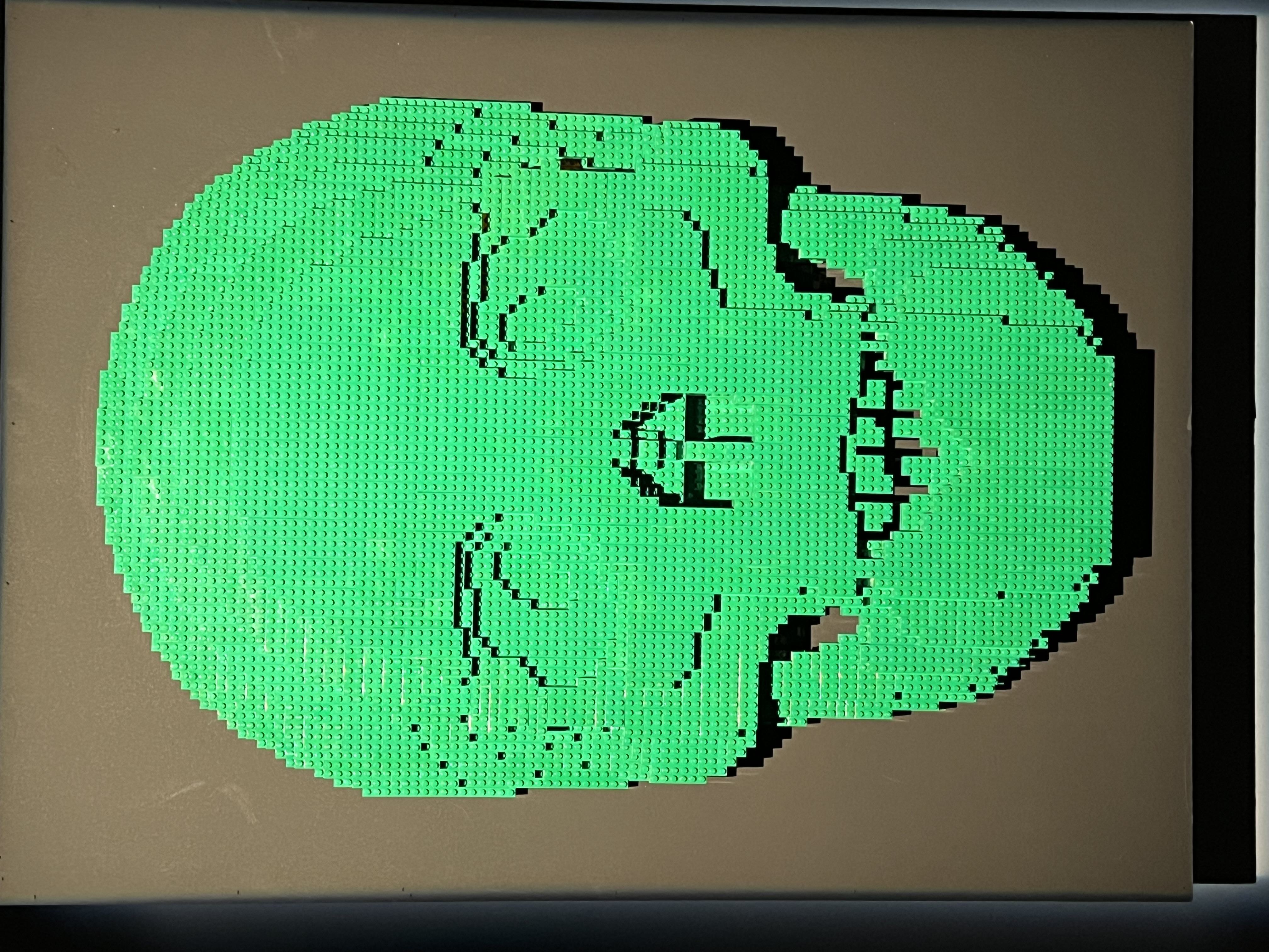 ./2023/07 - Art of the Brick/IMG_9549.JPG